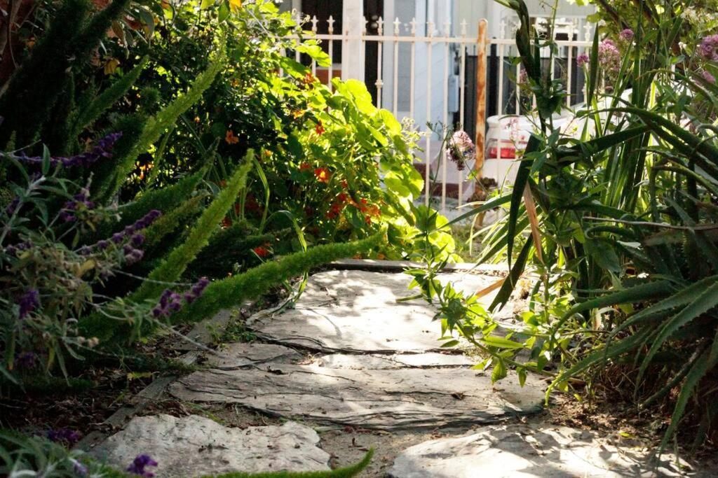 Beautiful, Historic Family Home Near Lake Merritt Оакланд Экстерьер фото